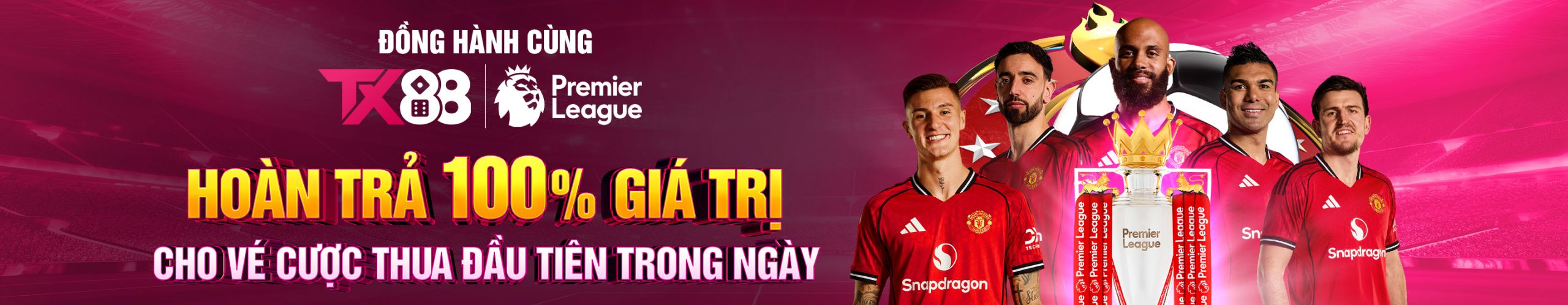 banner tx88